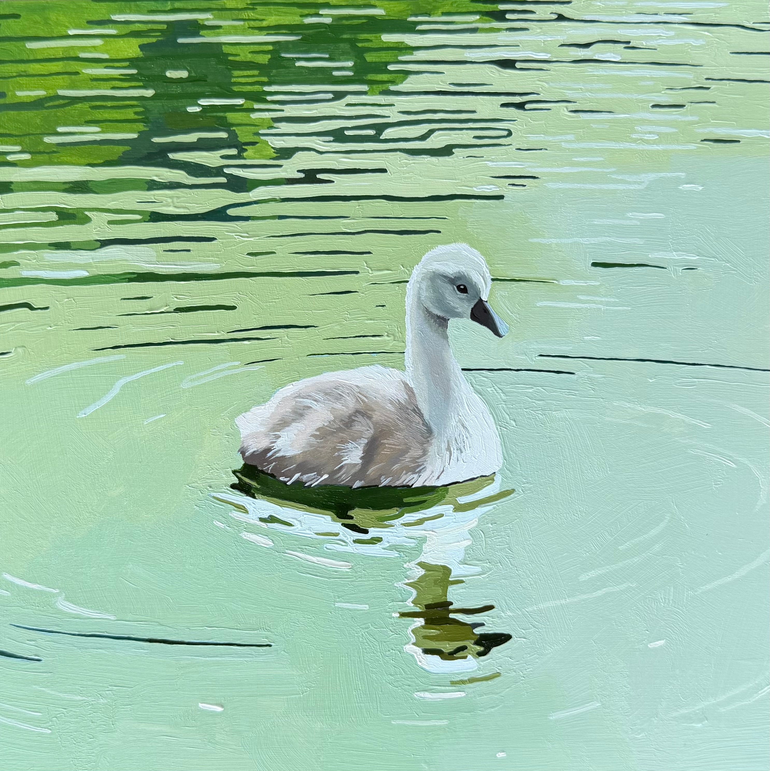 Cygnet