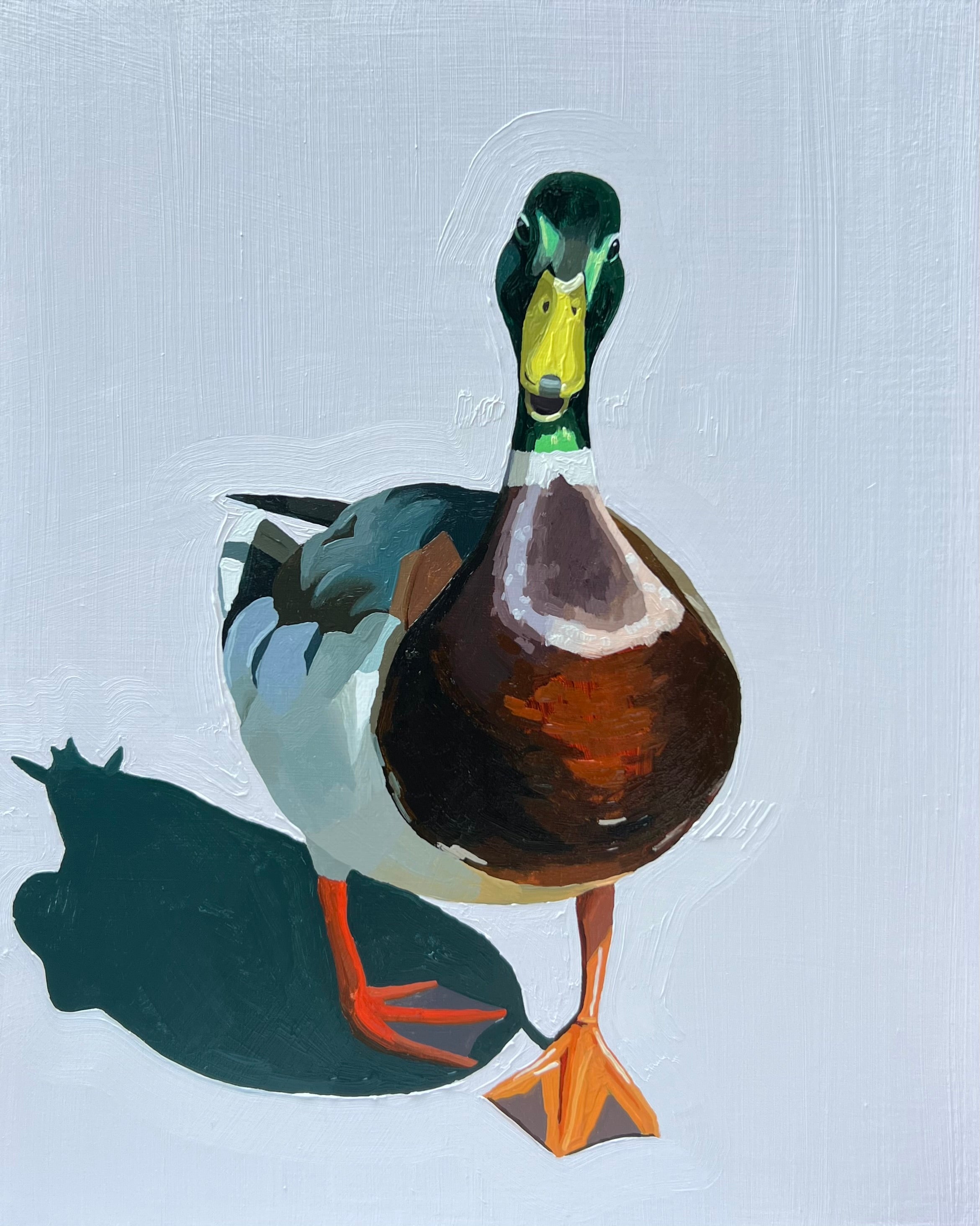 Mallard on the Move