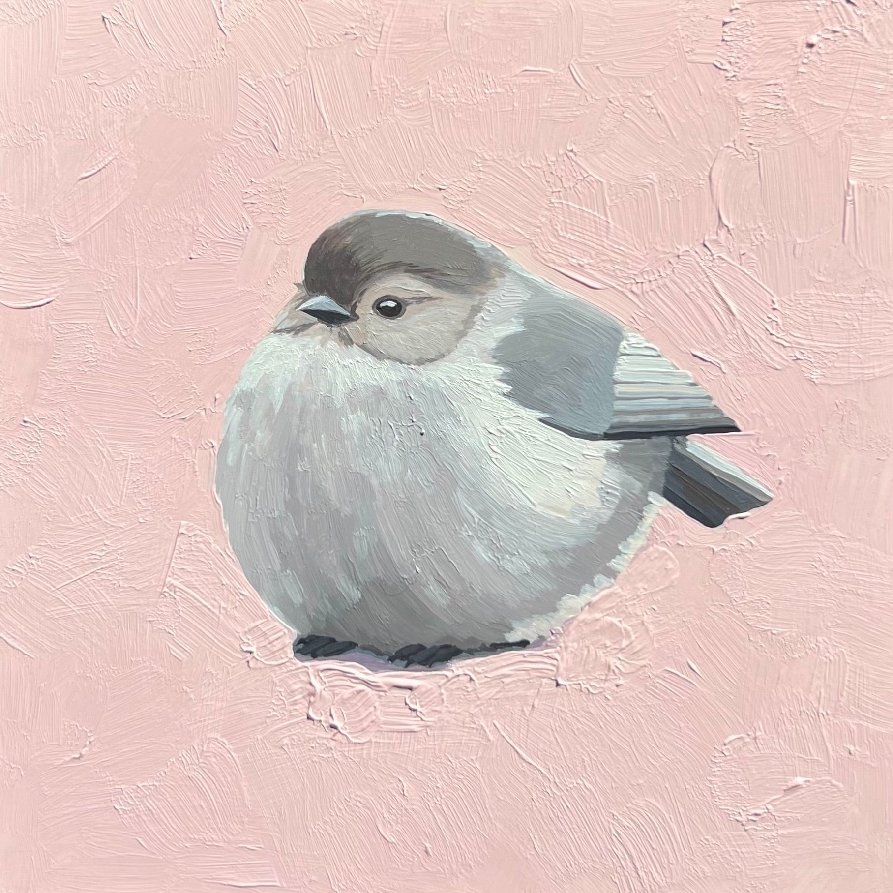 Bushtit