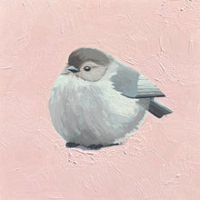 Load image into Gallery viewer, Bushtit
