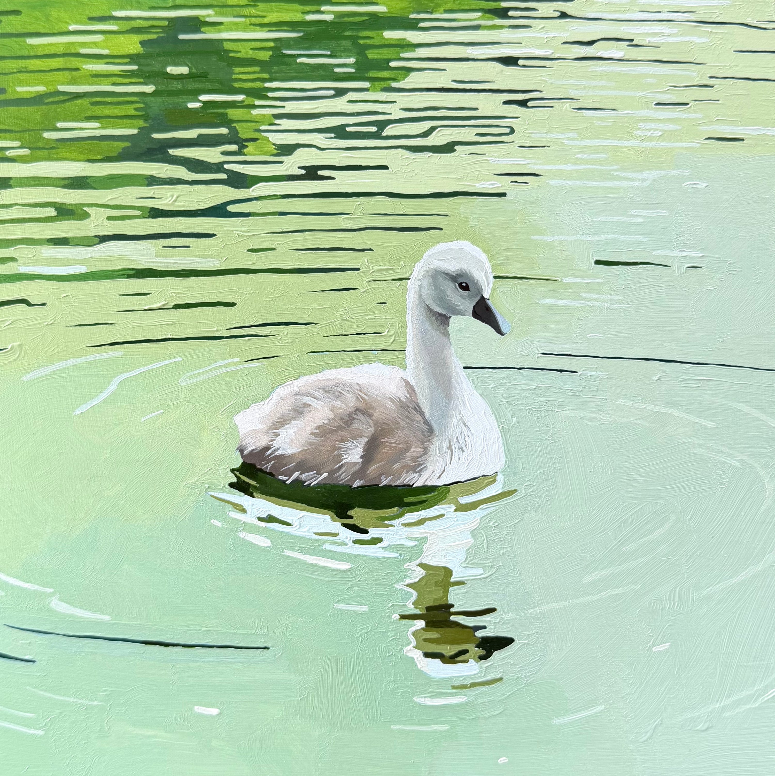 Cygnet