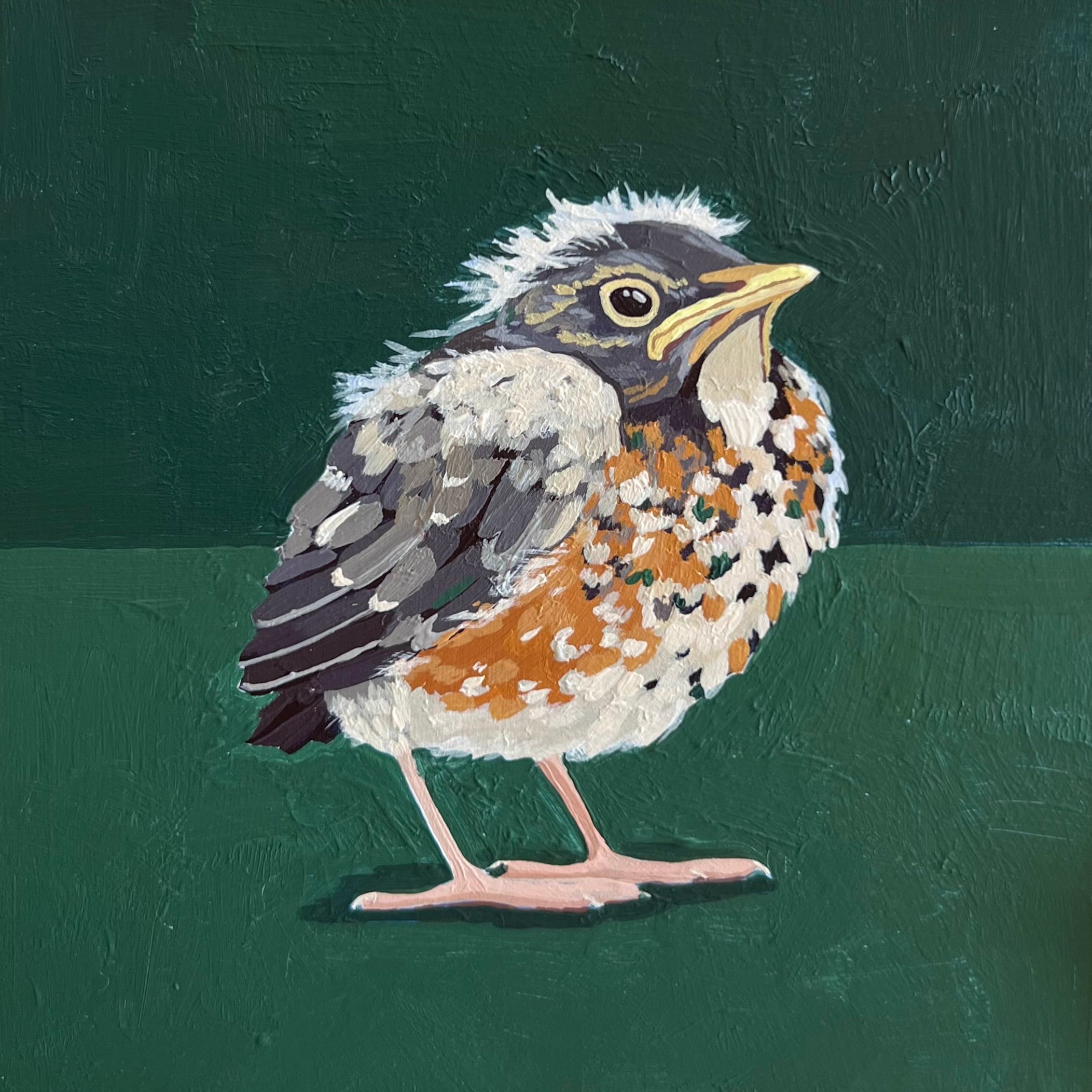 Fledgling Robin Commission | Claire Heyison final payment