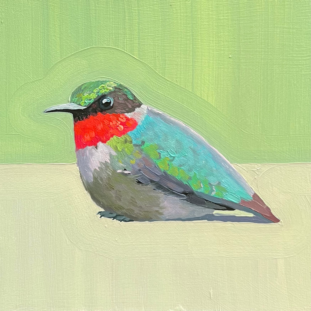 Ruby Throated Hummingbird (at rest)