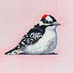 Downy Woodpecker