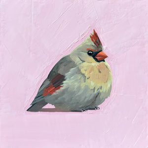 Cardinal (female)