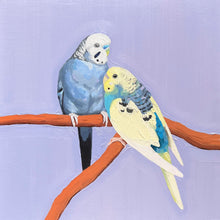 Load image into Gallery viewer, Budgies for Brendan final payment

