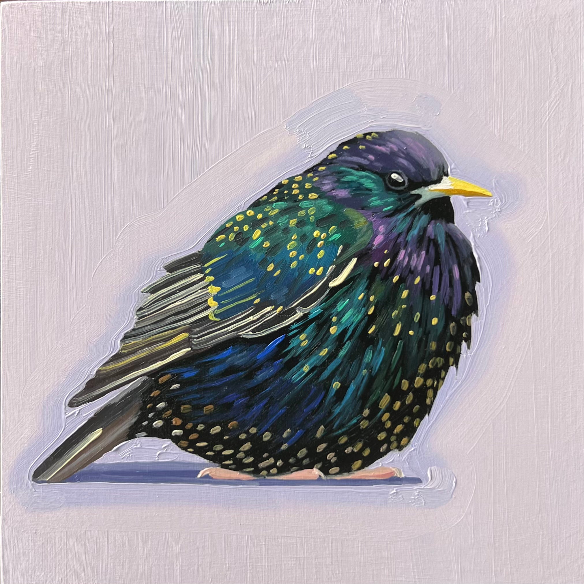 Common Starling