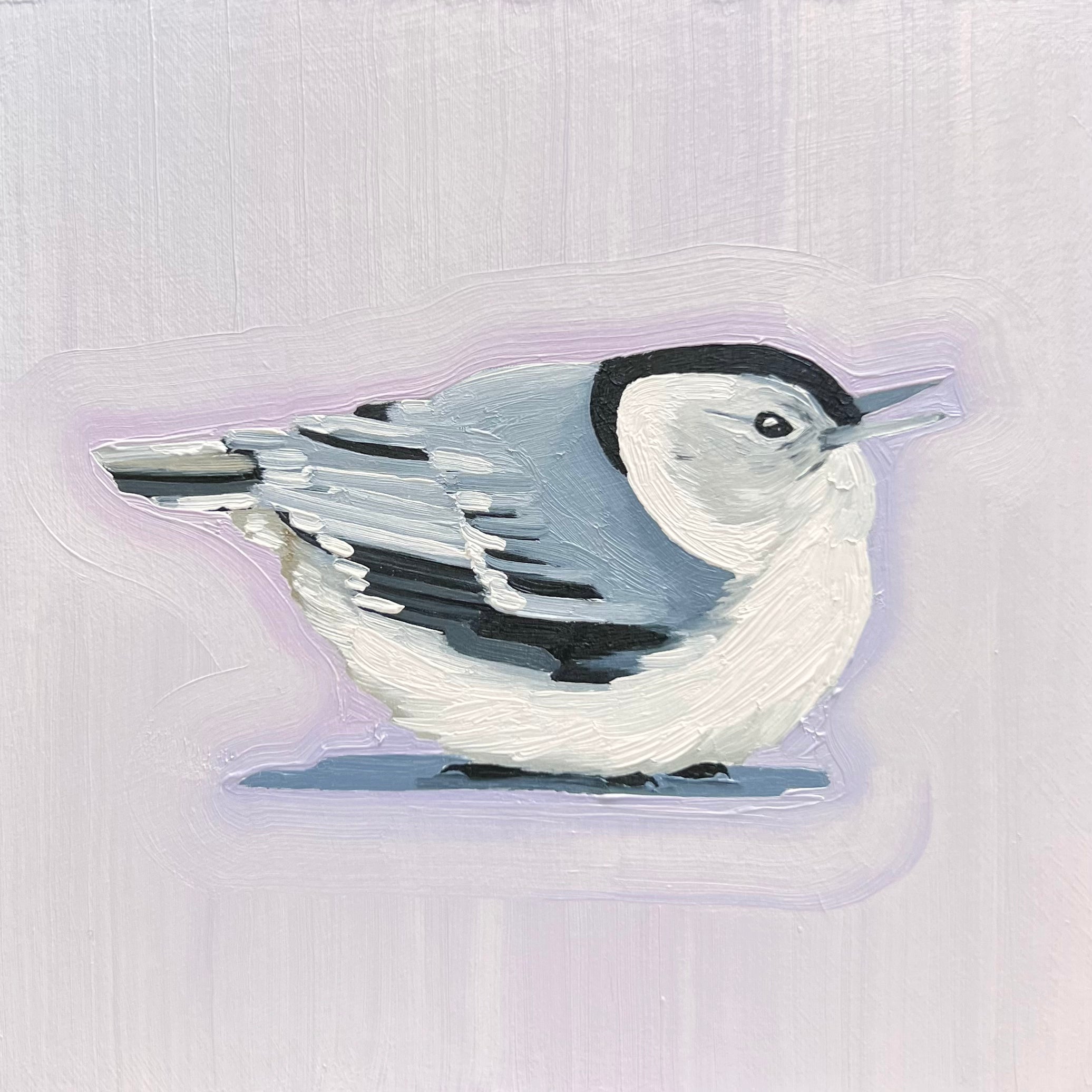 White-breasted Nuthatch