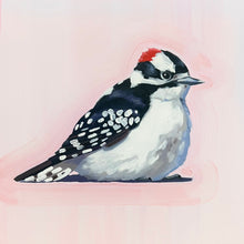 Load image into Gallery viewer, Downy Woodpecker
