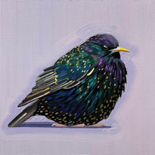 Load image into Gallery viewer, Common Starling
