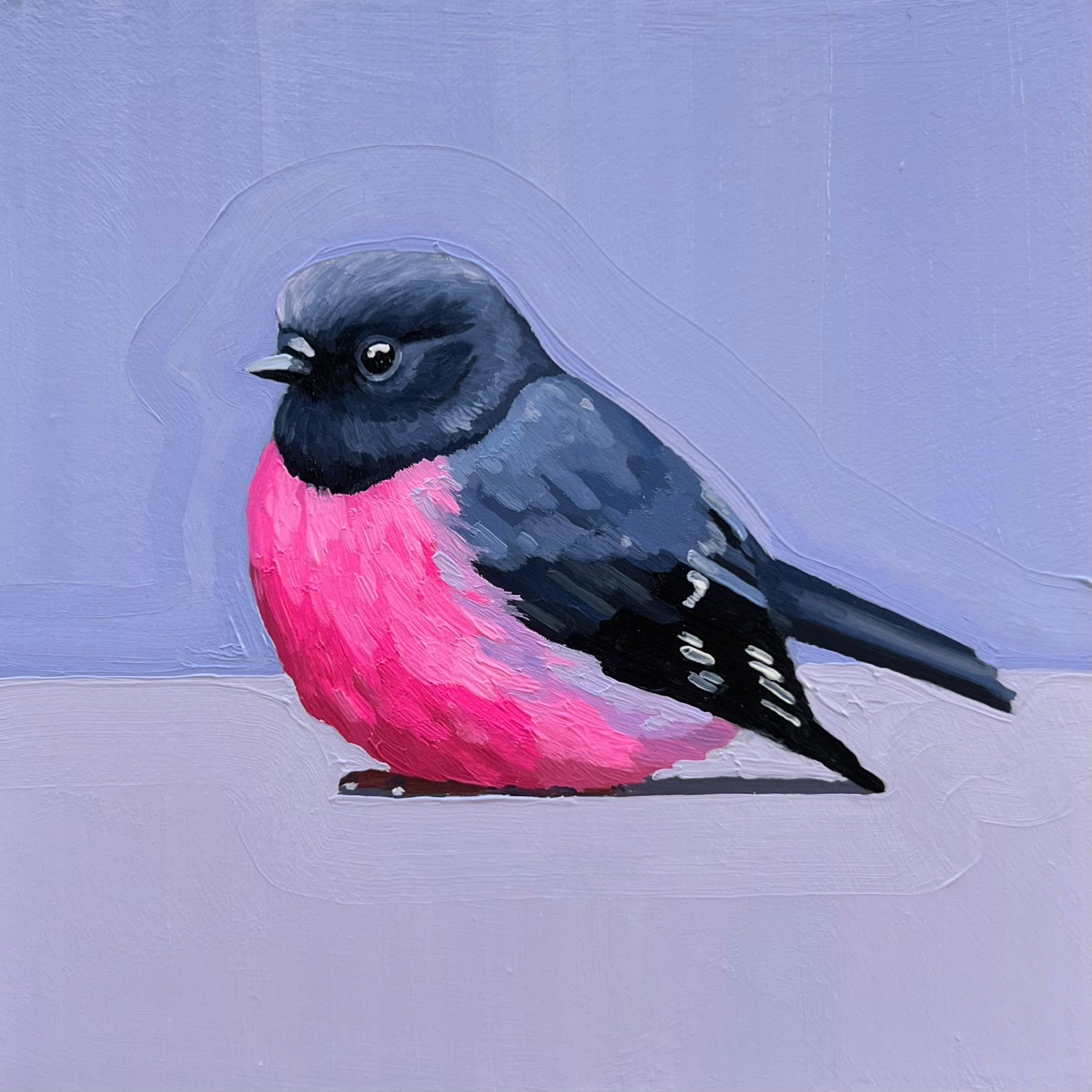 Pink Robin