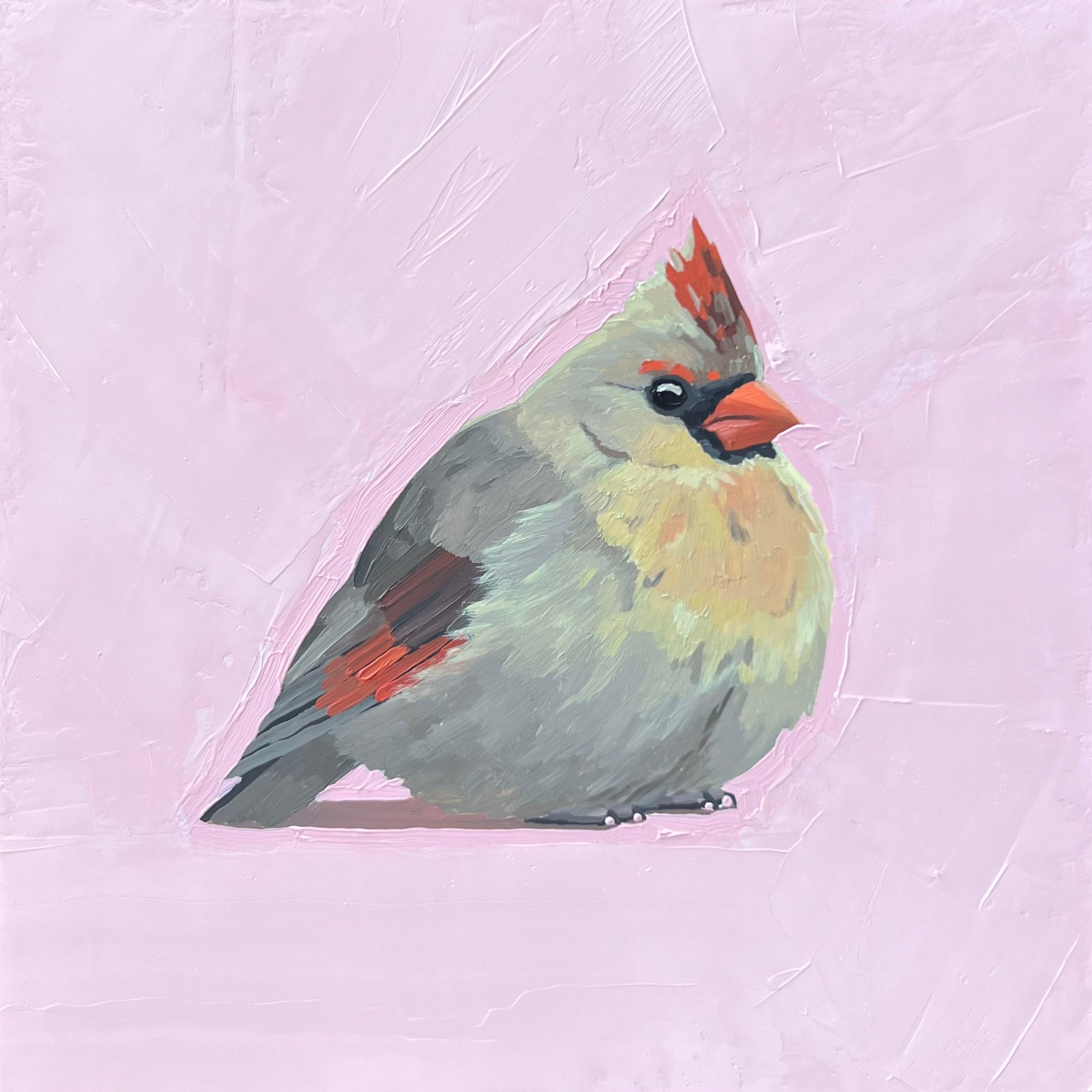 Cardinal (female)