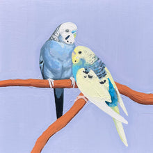 Load image into Gallery viewer, Budgies for Brendan final payment
