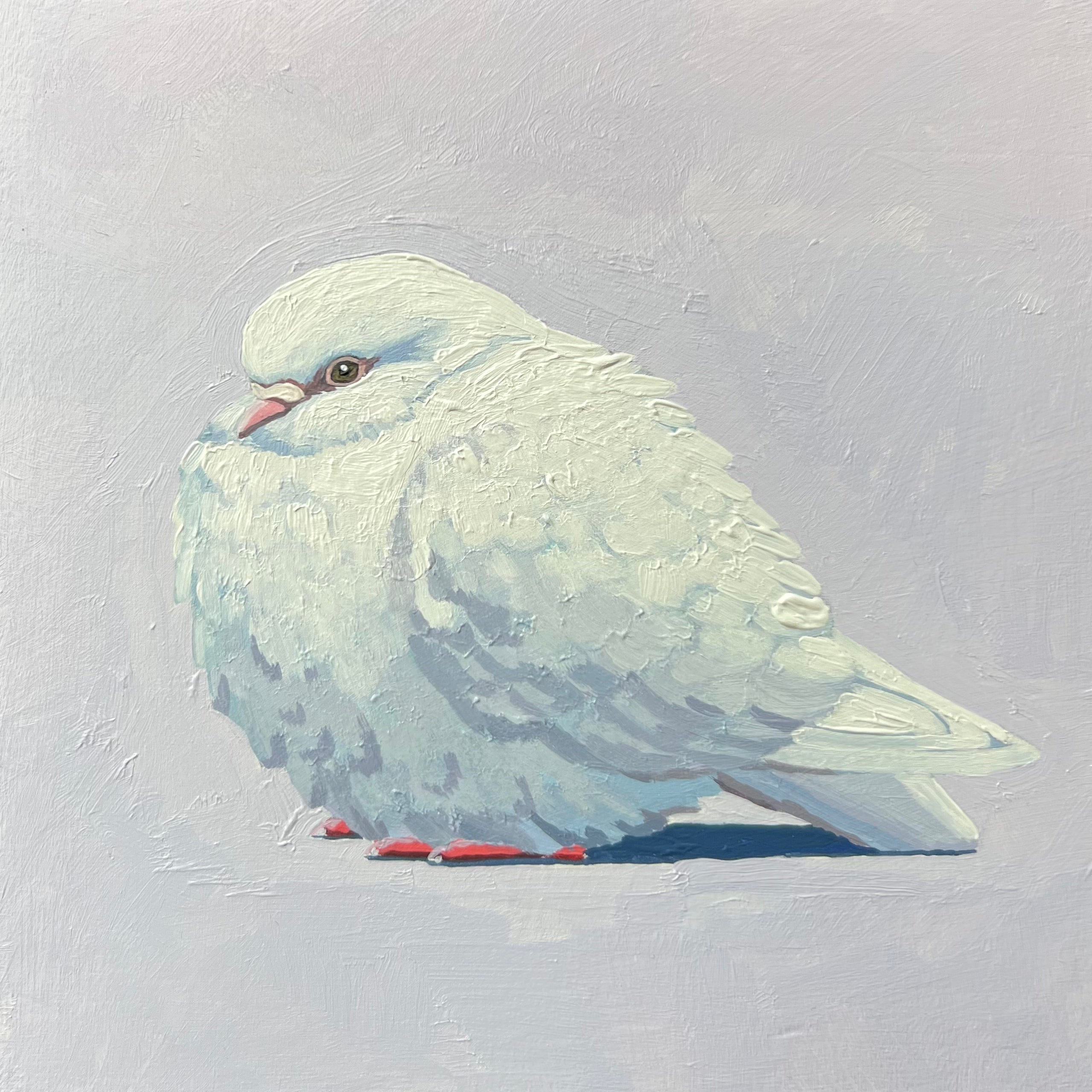 White Dove