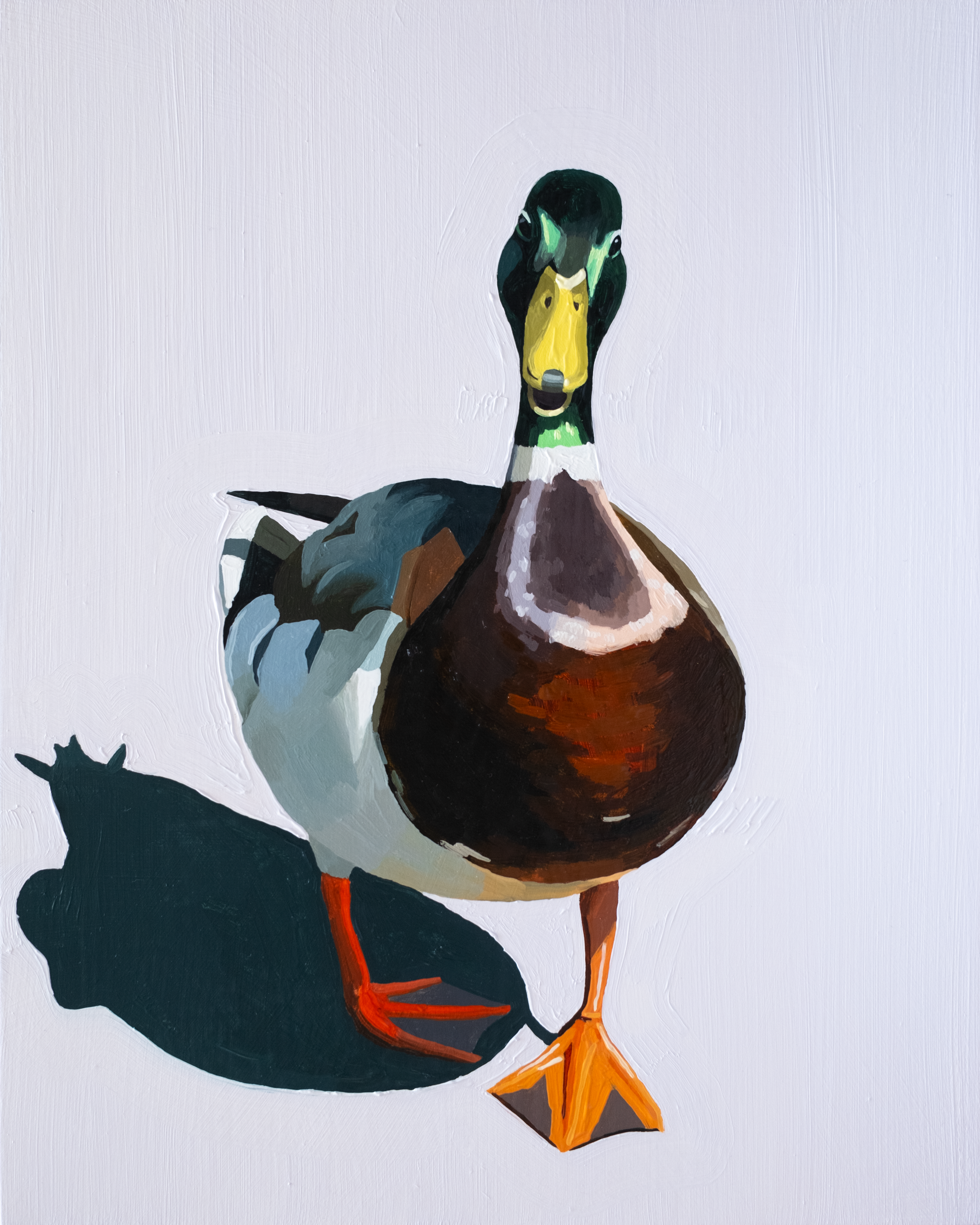 Mallard on the Move Print (8x10 inches)