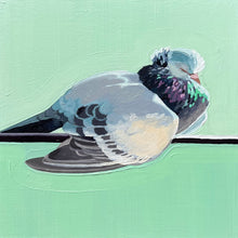 Load image into Gallery viewer, Pet Pigeon for Amie Final Payment
