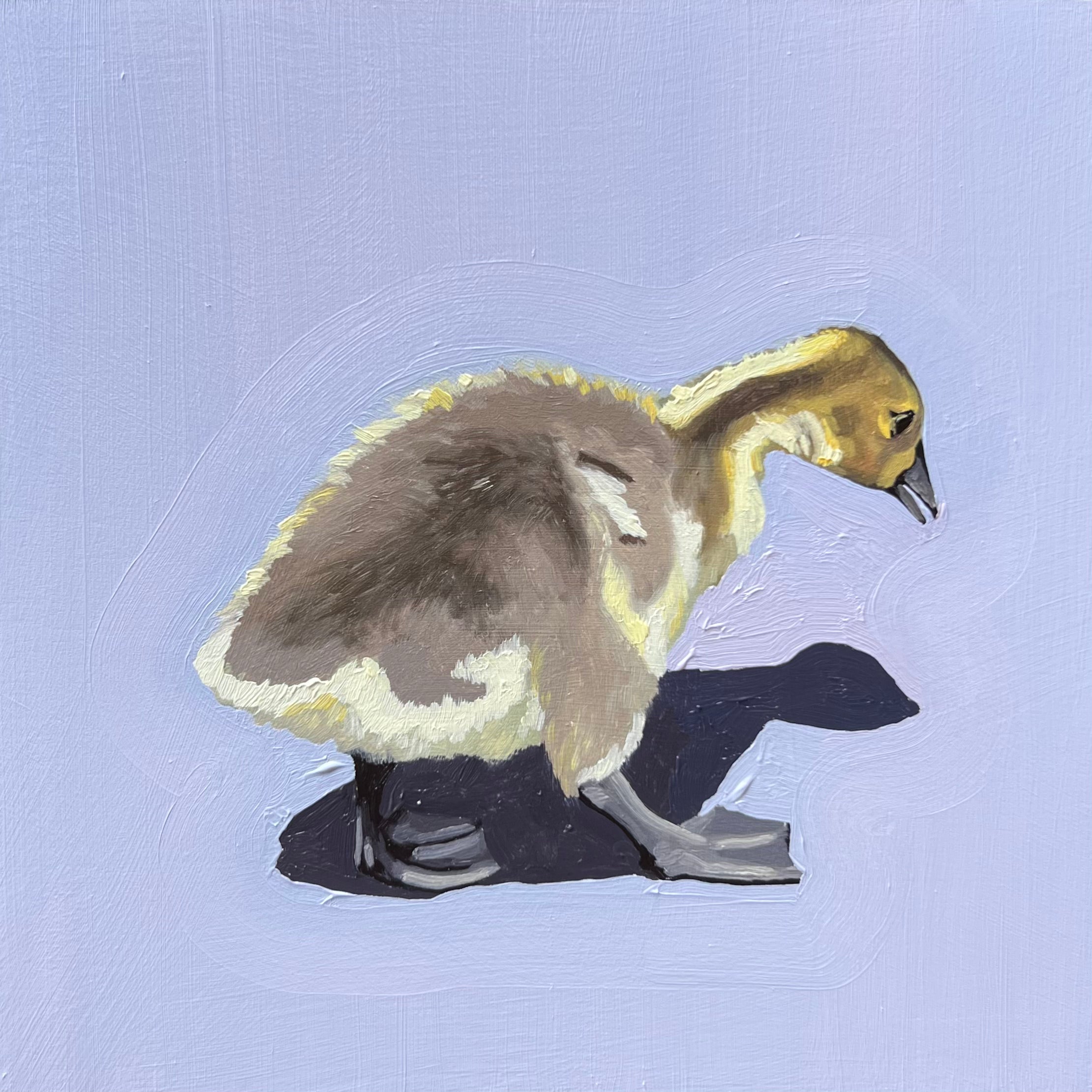 Gosling