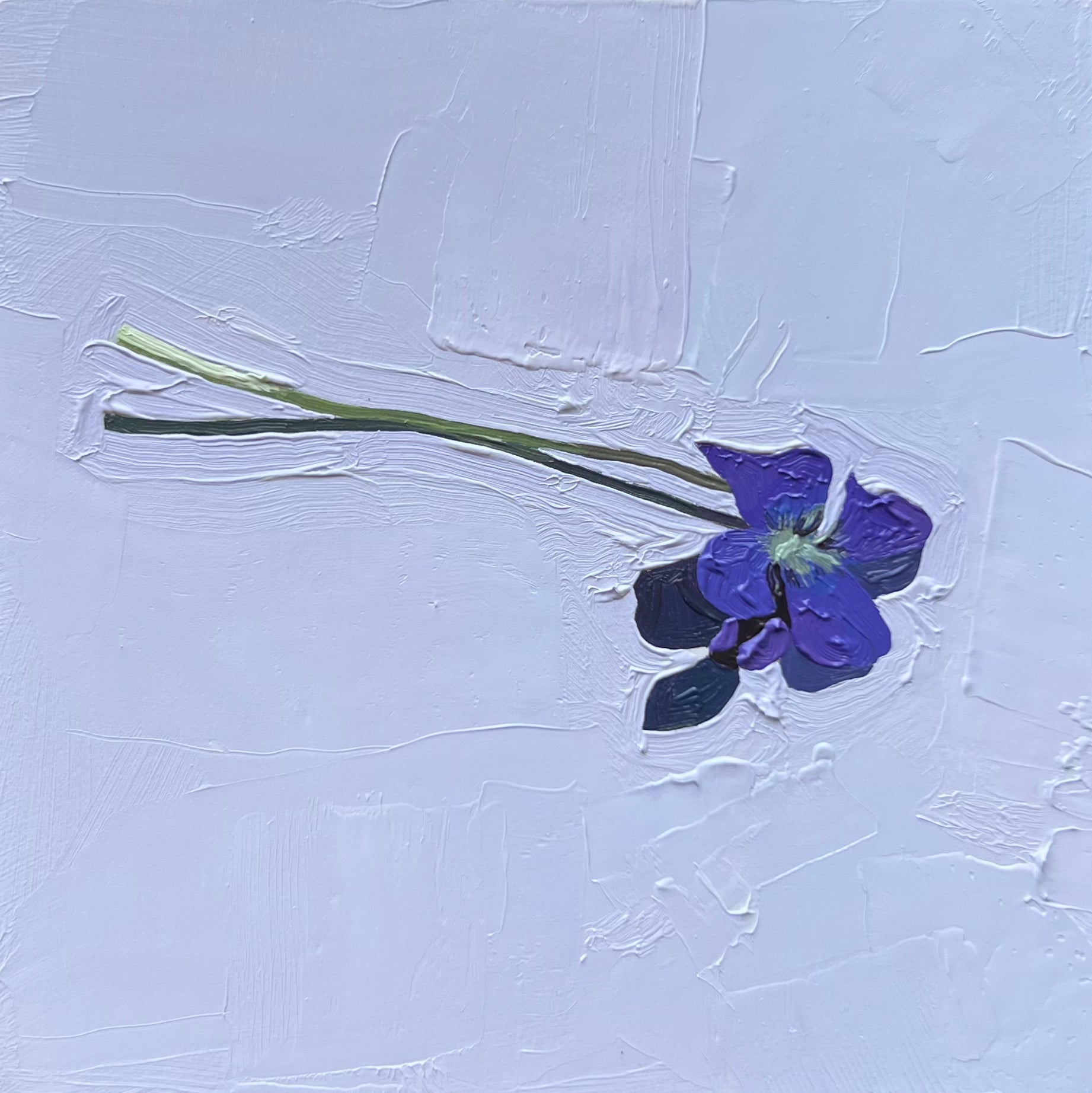 Tiny Violet