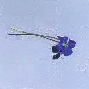Tiny Violet