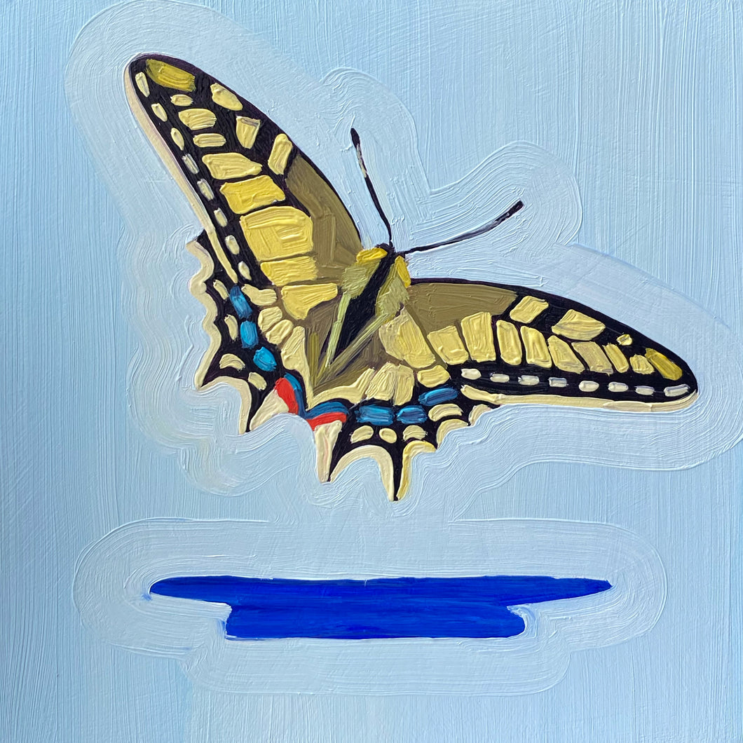 Tiger Swallowtail