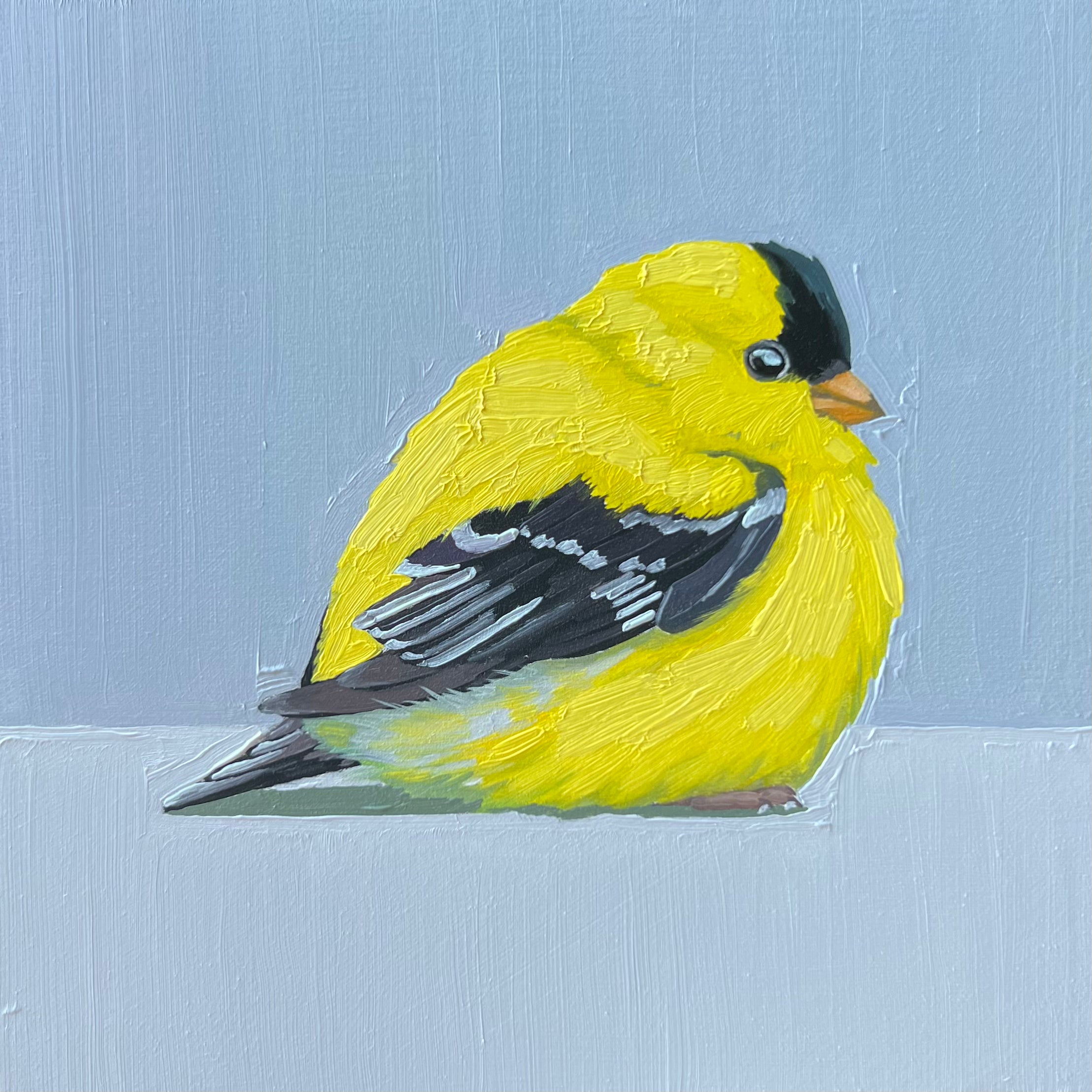 American Goldfinch