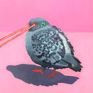 Killer Pigeon