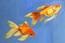 Load image into Gallery viewer, Goldfish
