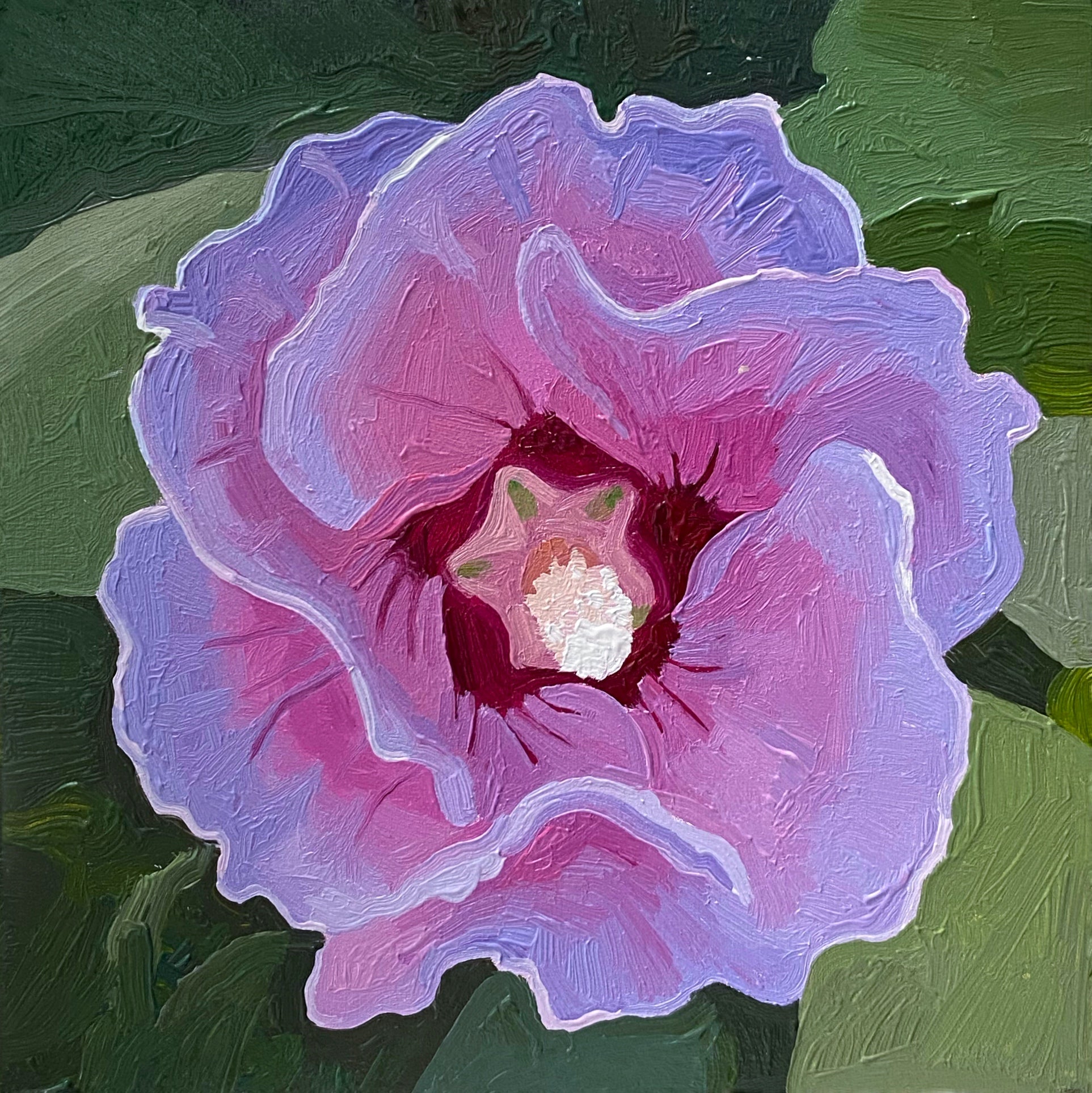 Rose of Sharon