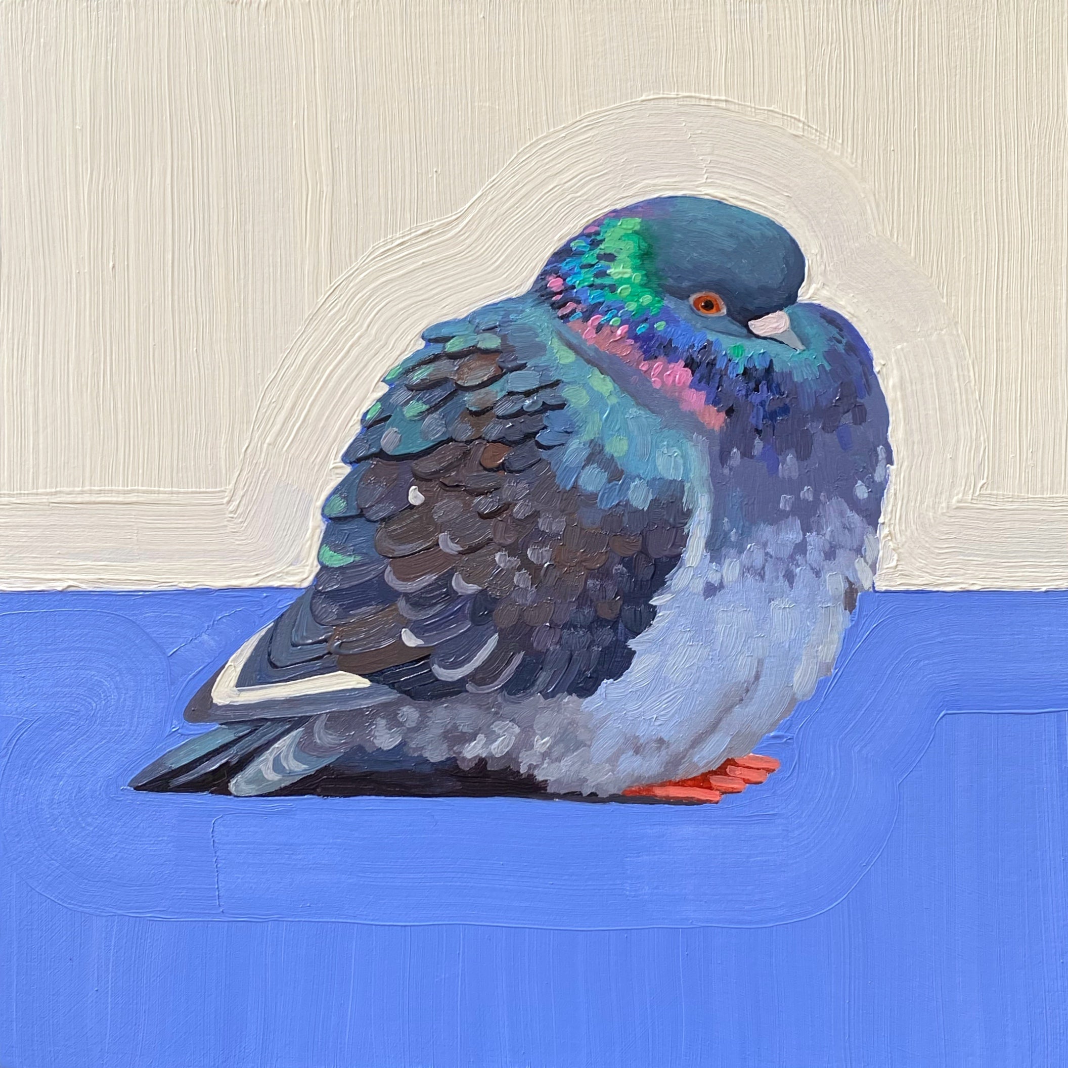 Pigeon on Cobalt