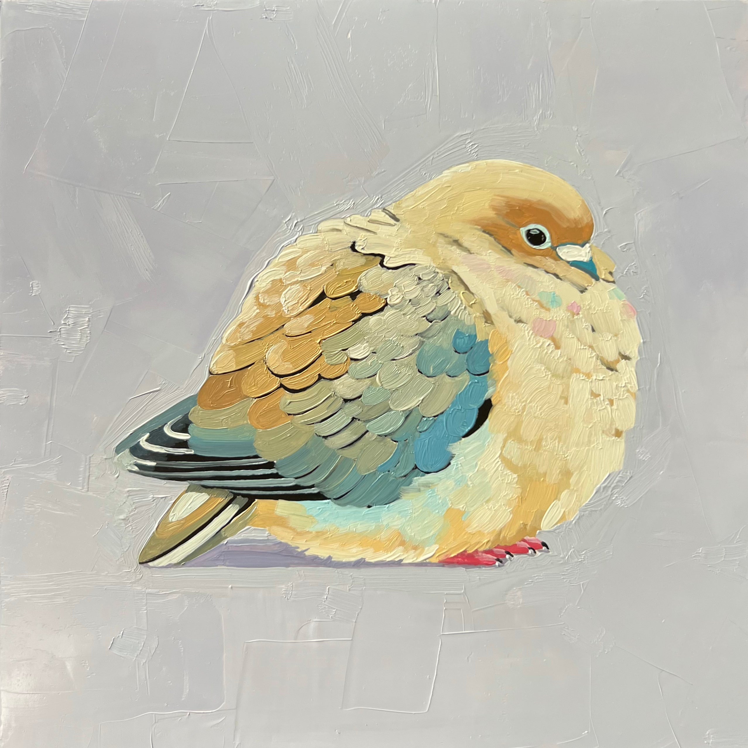 Mourning Dove