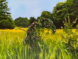 Meadow in Birkerød, Denmark