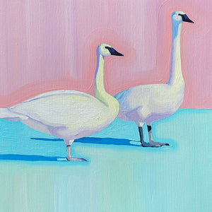 Opalescent Swans