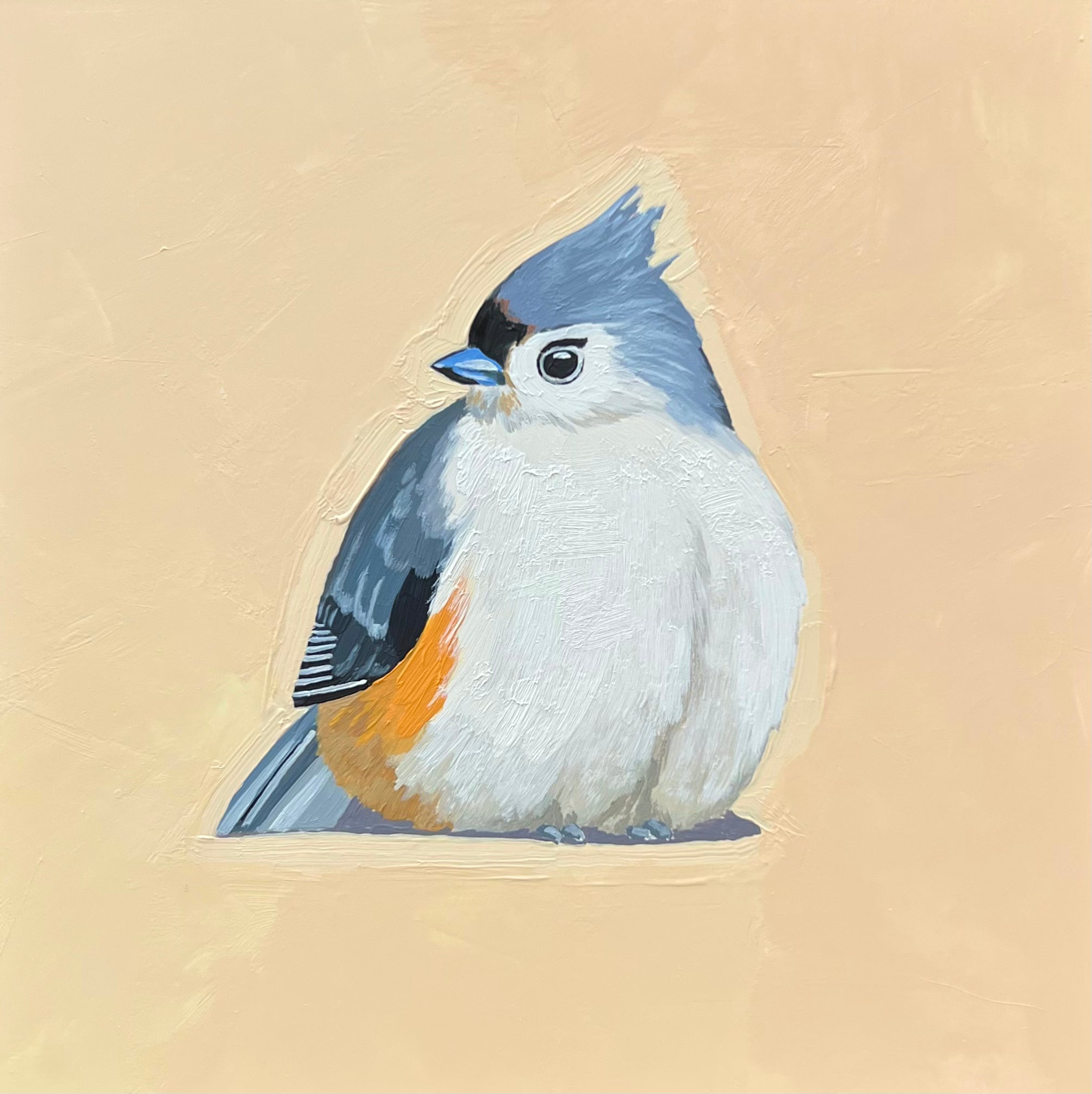 Tufted Titmouse