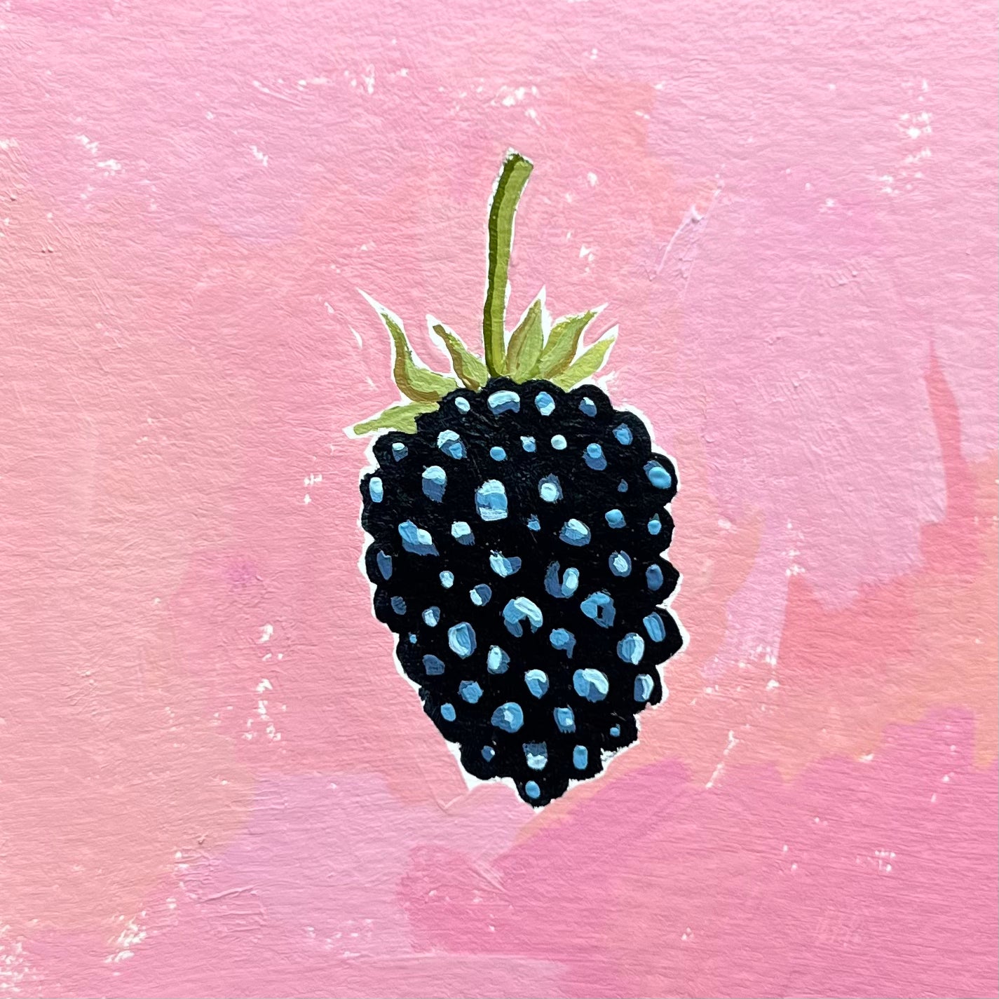 Blackberry Sketch