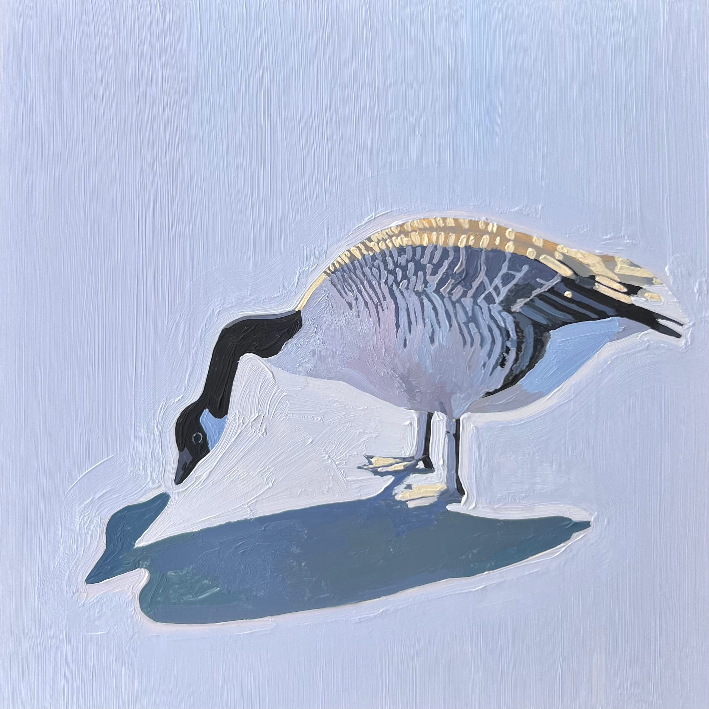 Peaceful Goose