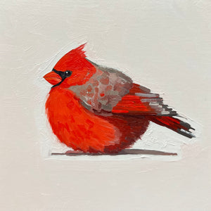 Grumpy Cardinal