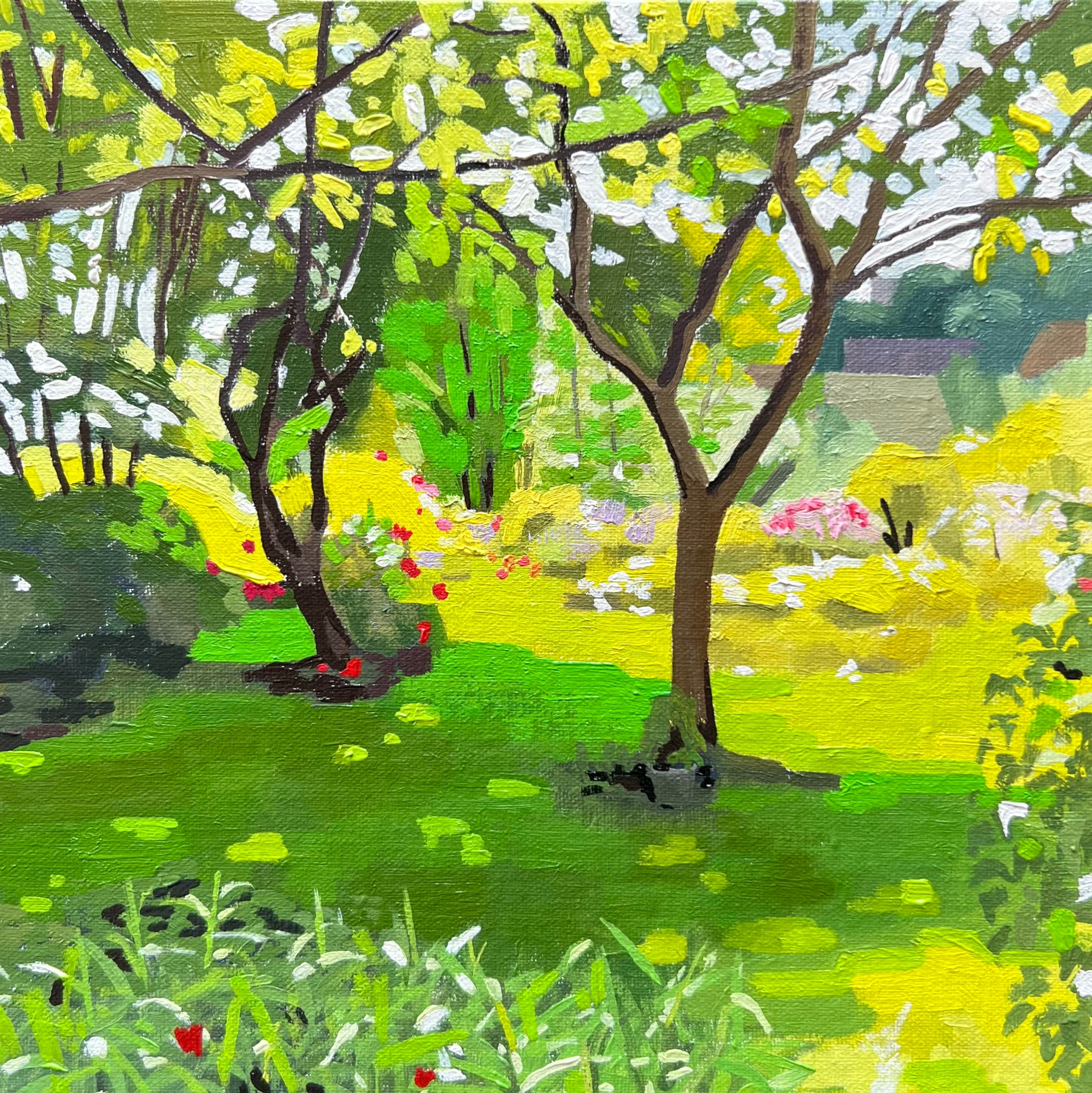 Sun Dappled Garden