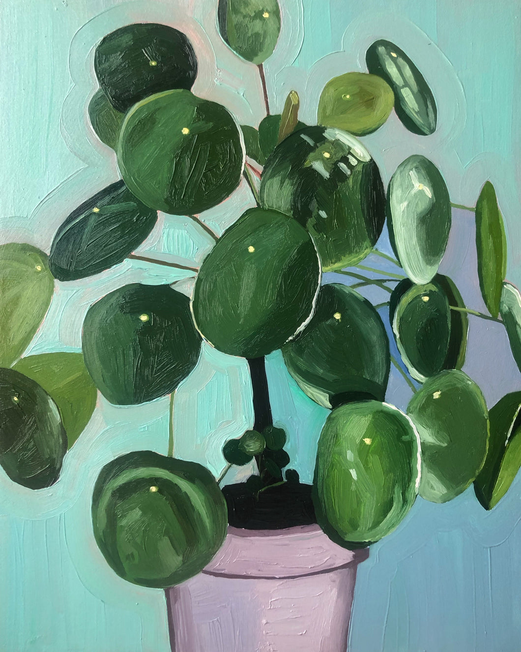 UFO plant