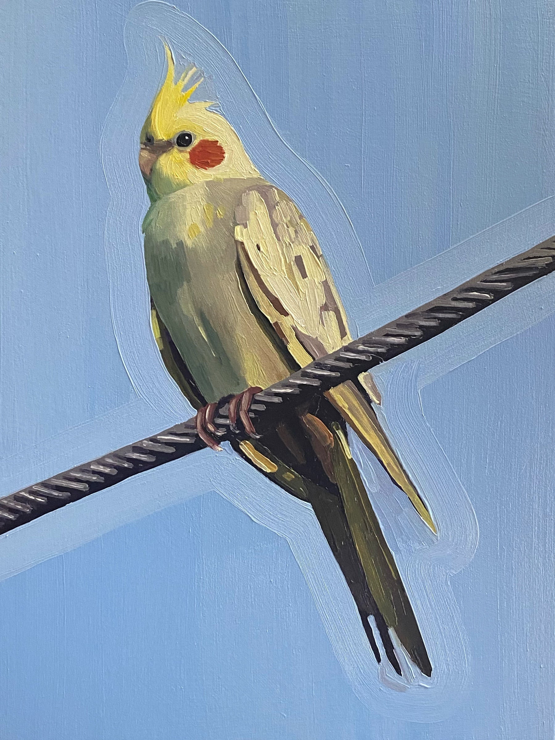 Cockatiel