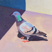 Load image into Gallery viewer, Pigeon in the Sun
